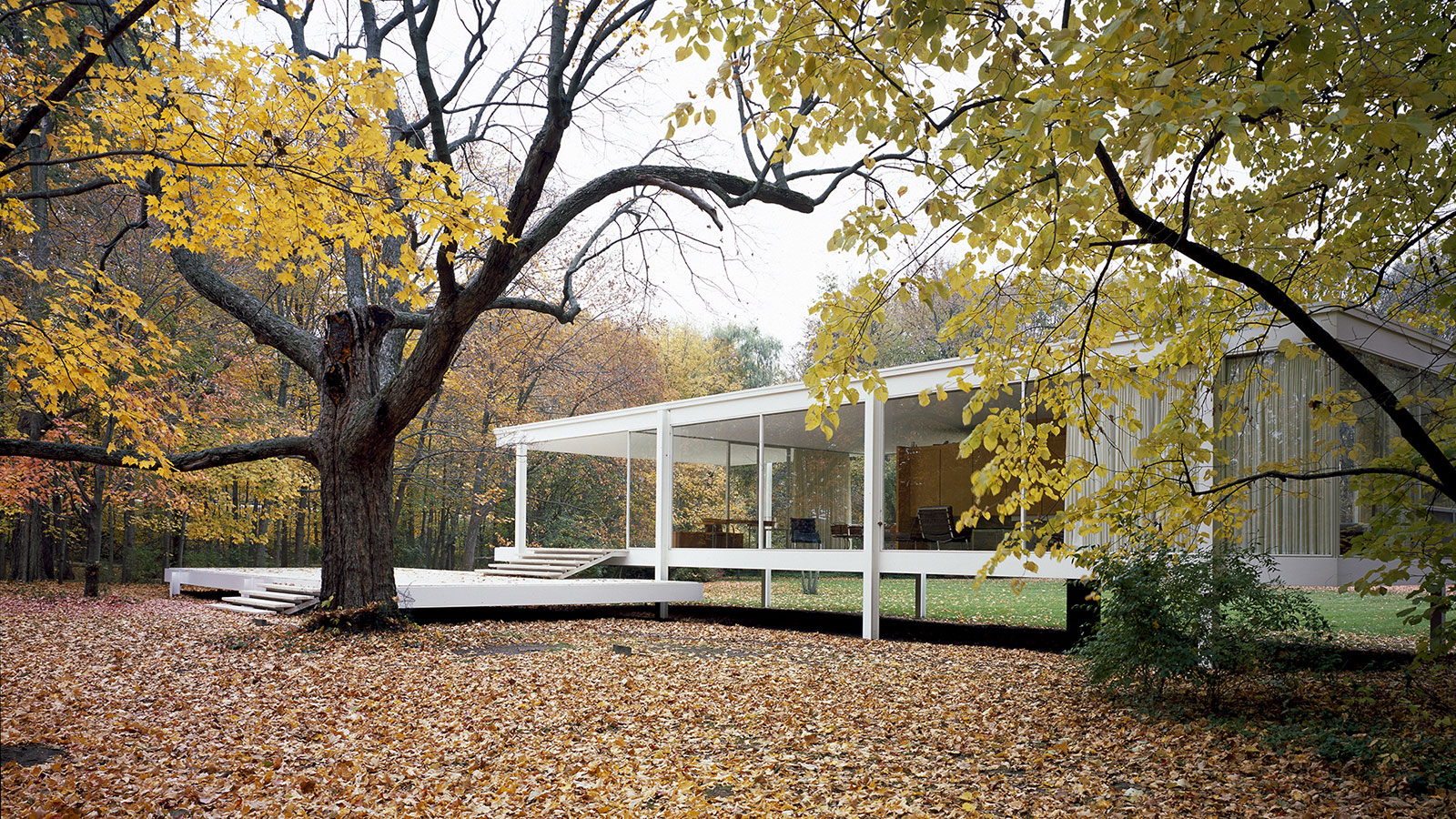 d8p associates Ludwig Mies van der Rohe 14